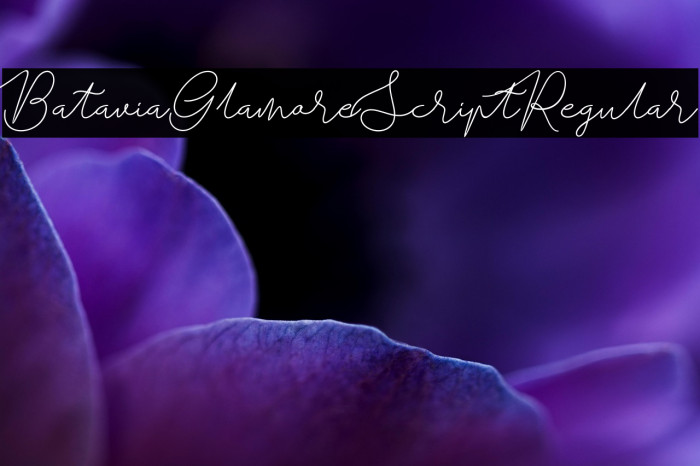 BataviaGlamoreScript-Regular Example 1