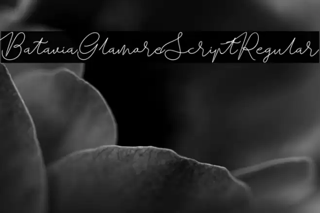 BataviaGlamoreScript-Regular Font examples