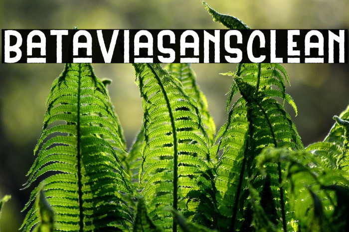 BataviaSansClean Example 1