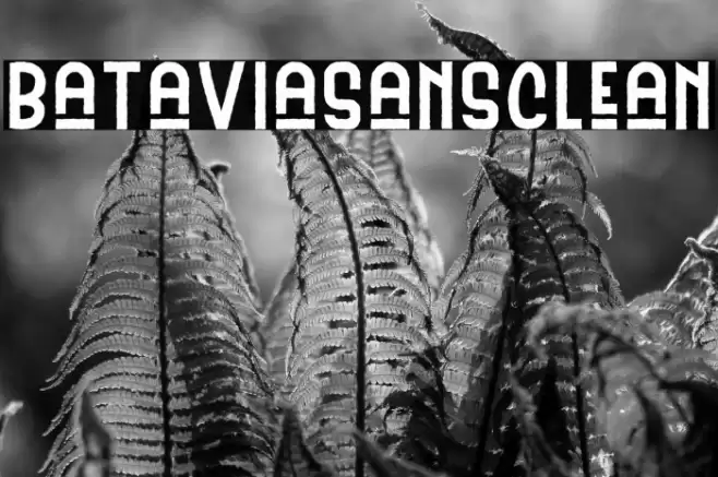 BataviaSansClean Font examples