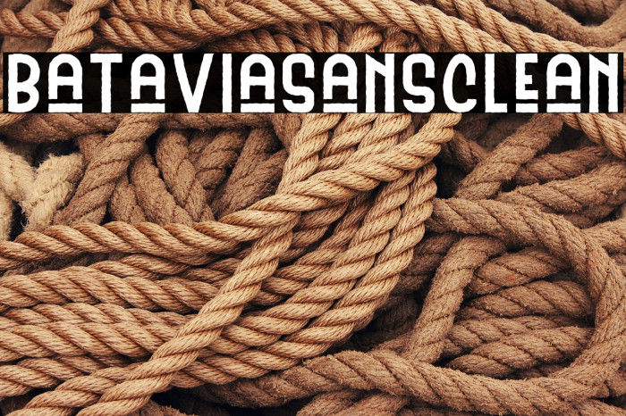 BataviaSansClean Example 2