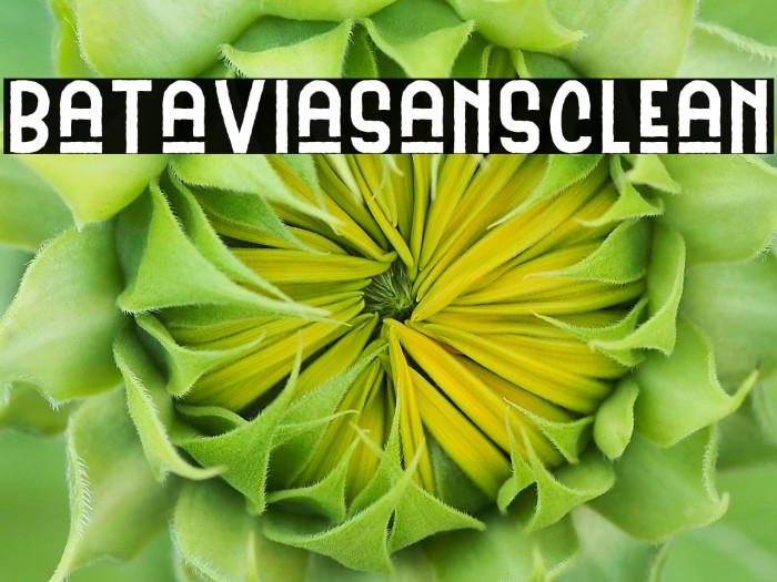 BataviaSansClean Example 3