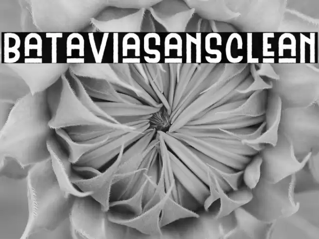 BataviaSansClean Font examples