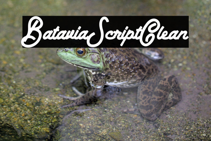 BataviaScriptClean Example 1