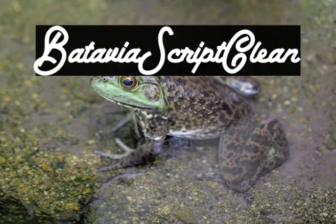 BataviaScriptClean Example 1