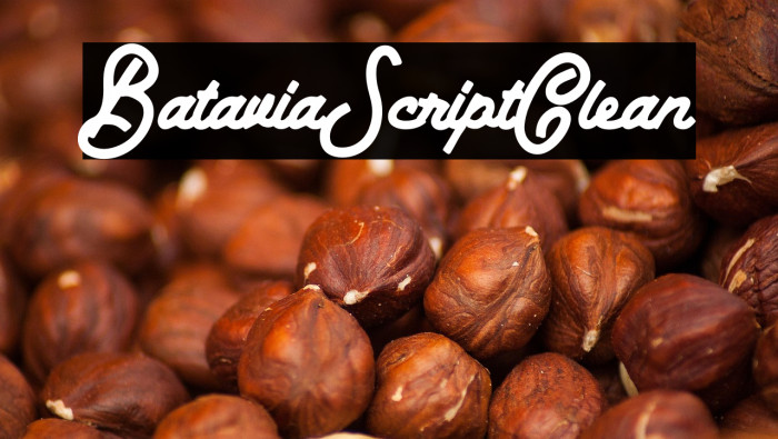 BataviaScriptClean Example 2