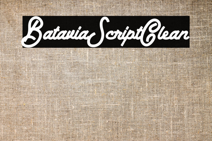 BataviaScriptClean Example 3