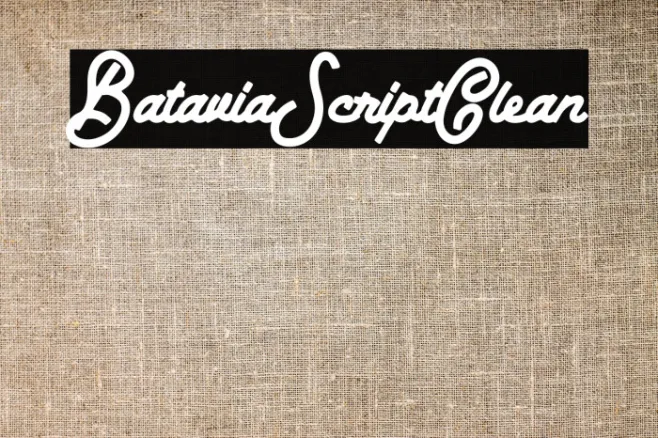 BataviaScriptClean Example 3