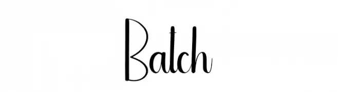 Batch 