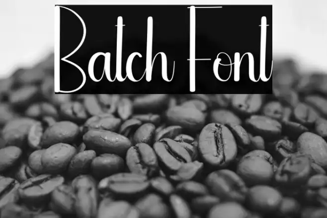 Batch Example 2