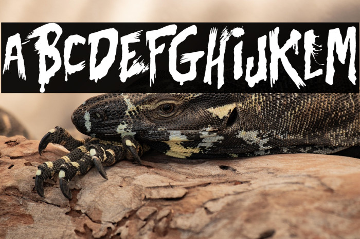 Bates Shower Example 3