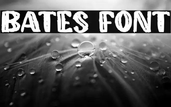 Bates Example 2