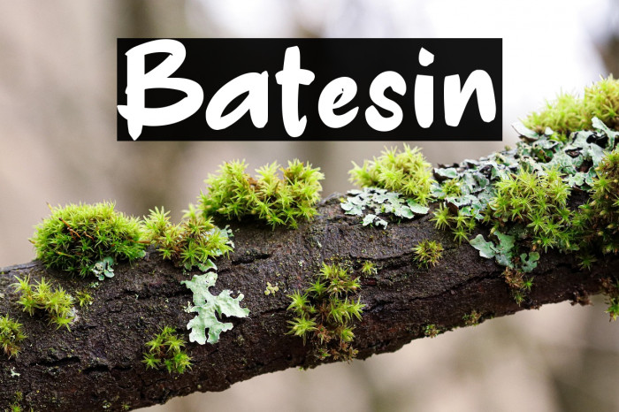 Batesin Example 1