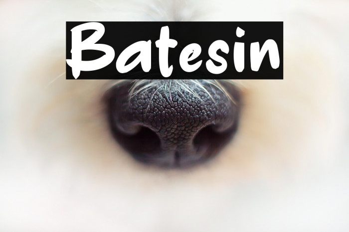 Batesin Example 2