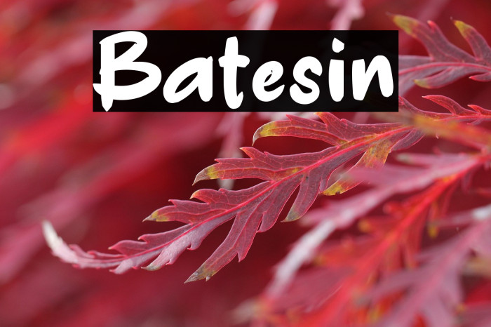 Batesin Example 3