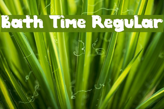 Bath Time Regular Example 2