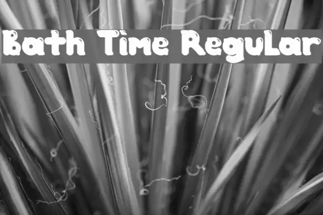 Bath Time Regular Font examples