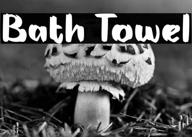 Bath Towel Font examples