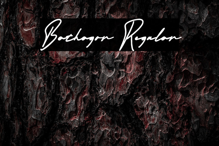 Bathagor Regular Example 1