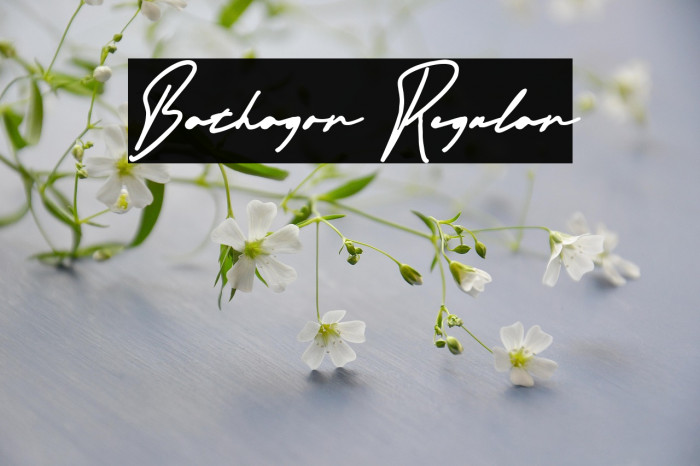 Bathagor Regular Example 3