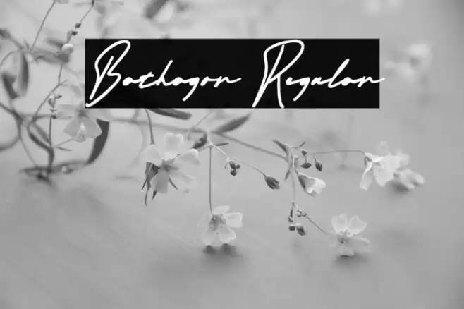 Bathagor Regular Schriftart examples