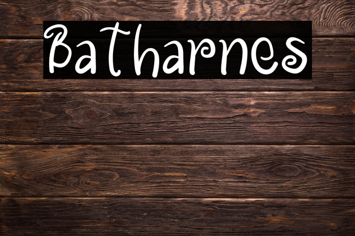 Batharnes Example 2