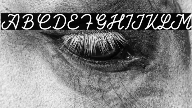 Bathavia Font examples