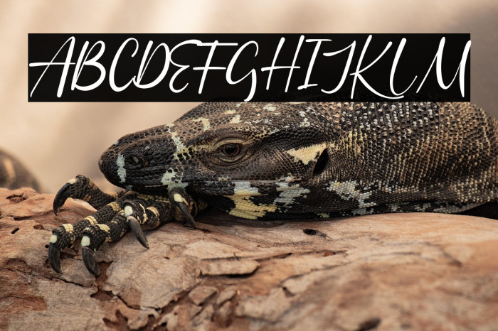 Batheny Rosie Example 2