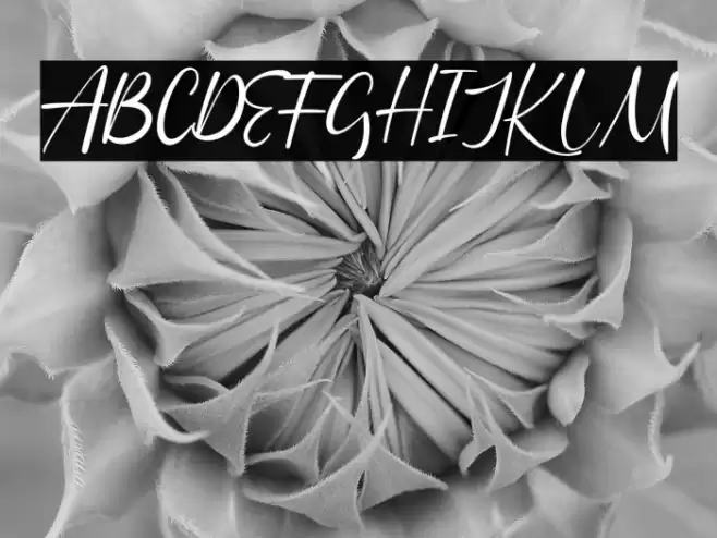 Batheny Rosie Font examples