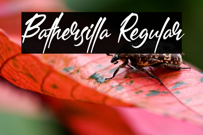 Bathersilla Regular Example 1