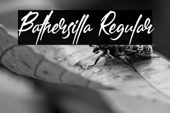 Bathersilla Regular Font examples