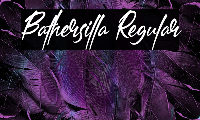 Bathersilla Regular Example 2