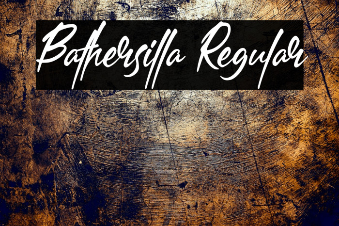 Bathersilla Regular Example 3