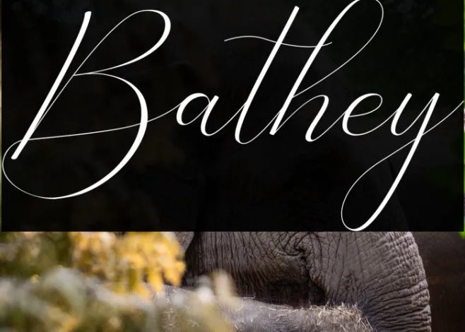 Bathey Example 2