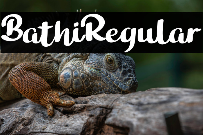 BathiRegular Example 2