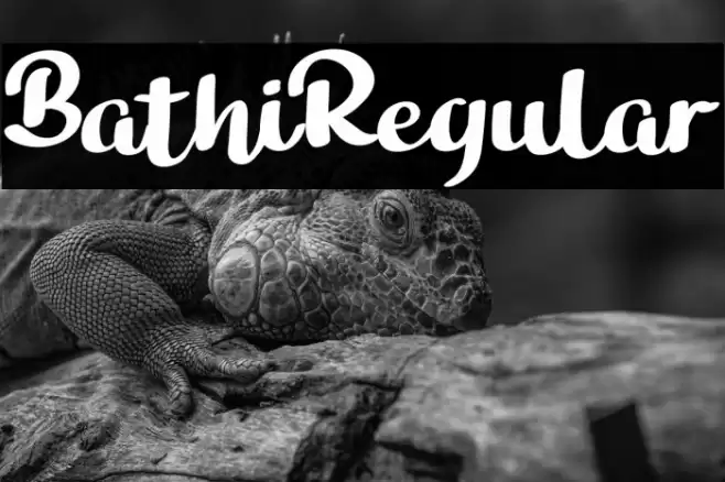 BathiRegular Font examples