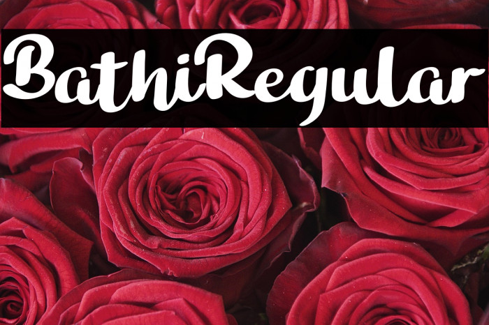 BathiRegular Example 3