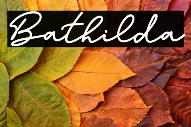 Bathilda Example 1