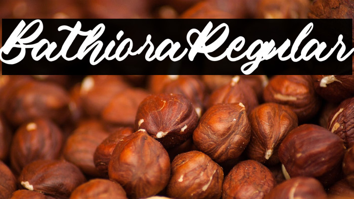 BathioraRegular Example 3