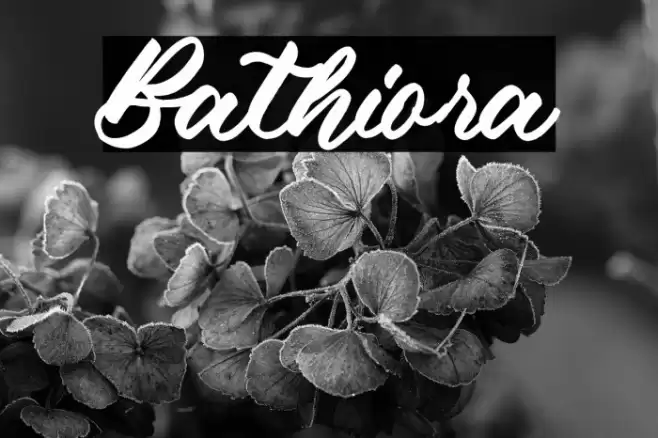 Bathiora Font examples