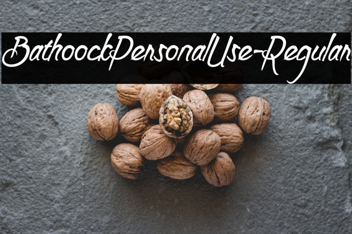 BathoockPersonalUse-Regular Example 1