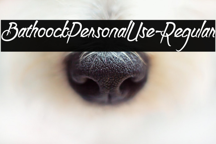 BathoockPersonalUse-Regular Example 2