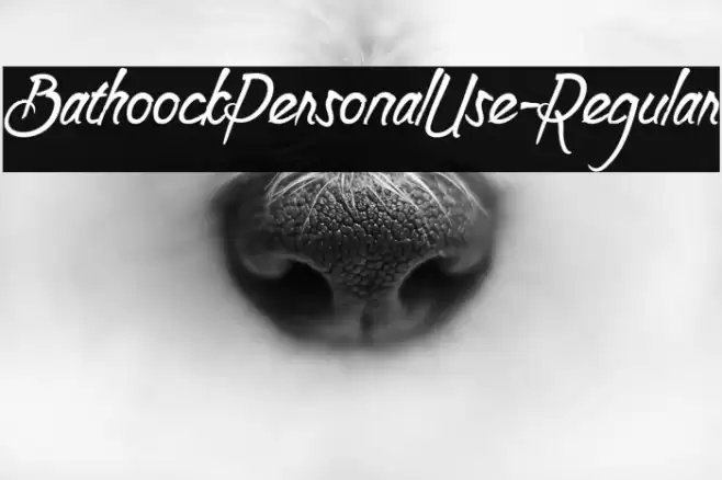 BathoockPersonalUse-Regular Font examples