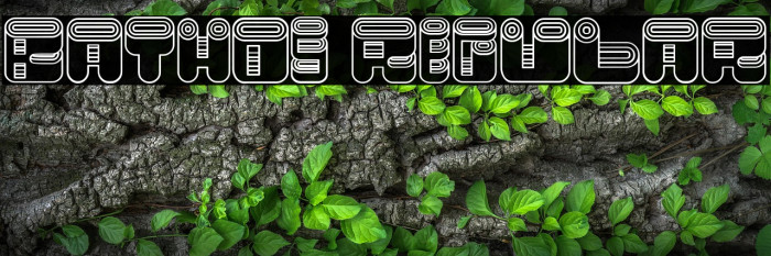 Bathos Regular Example 1