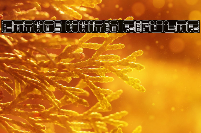 Bathos Whited Regular Example 1