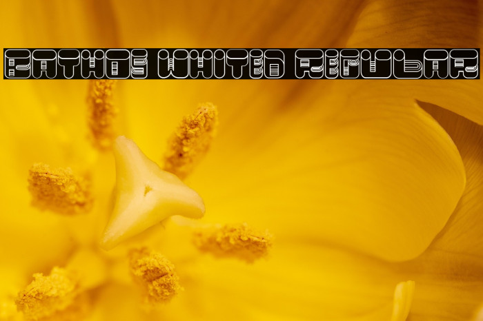 Bathos Whited Regular Example 3