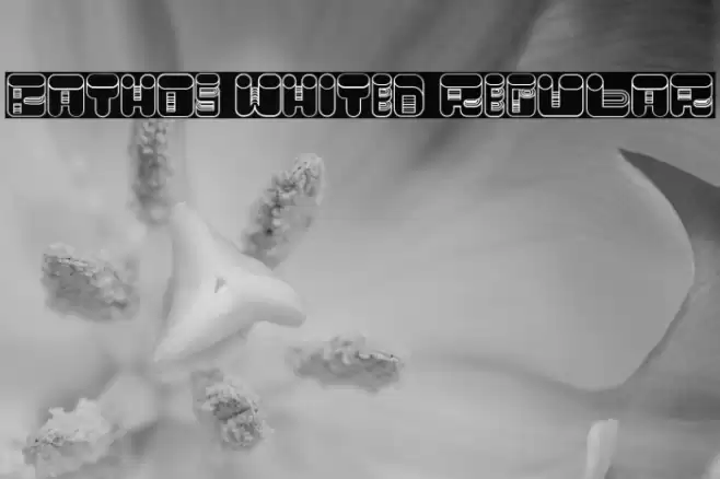 Bathos Whited Regular Font examples