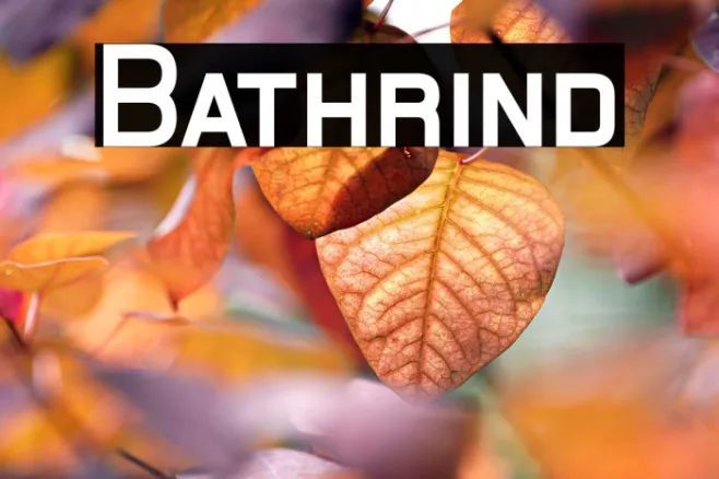 Bathrind Example 1