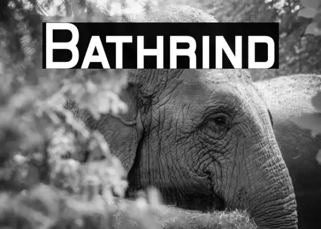 Bathrind Example 2