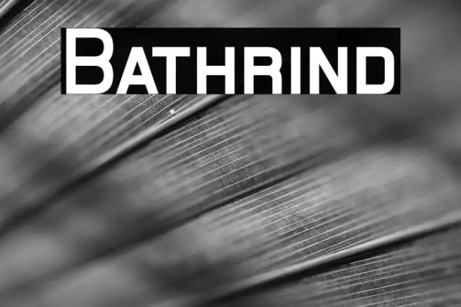 Bathrind Example 3
